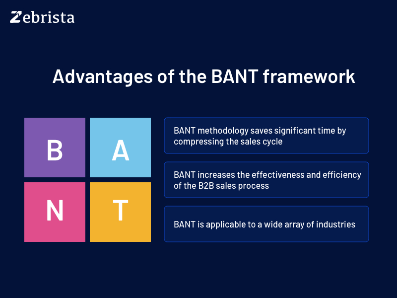 zebrista advantages of the bant framework in b2b sales